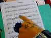 2015-09-12 12-13-43 FinePixHS50 42,5mm 1 80 eme
