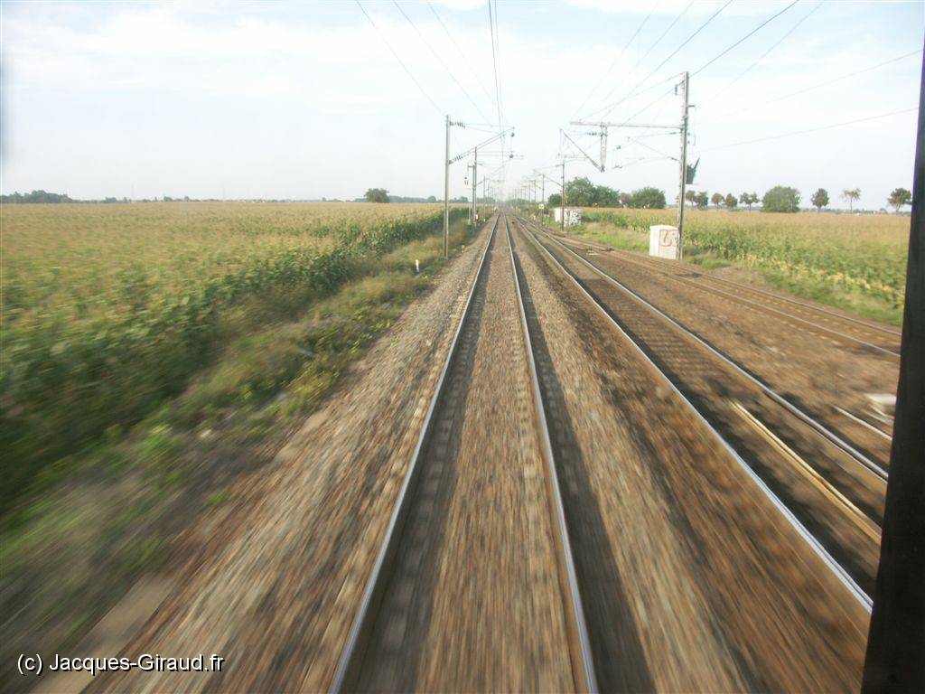 PICT3017.JPG
