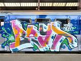 PICT5036