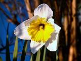 2005-03-25-Paques-Printemps-0054(x1024)
