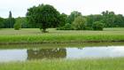 2015-05-14 14-49-13 FinepixHS50 43,9mm 1 300 eme