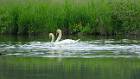 2015-05-14 15-03-14 FinepixHS50 1084,9mm 1 480 eme