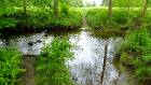 2015-05-14 15-11-18 FinepixHS50 25,8mm 1 105 eme
