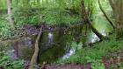 2015-05-14 15-16-11 FinepixHS50 25,8mm 1 10 eme