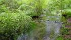2015-05-14 15-21-57 FinepixHS50 25,8mm 1 34 eme