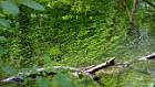 2015-05-14 15-25-33 FinepixHS50 177,6mm 1 58 eme