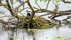 2015-05-14 17-59-49 FinepixHS50 1084,9mm 1 280 eme
