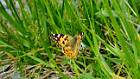 2015-05-14 18-05-24 FinepixHS50 1084,9mm 1 340 eme