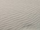 2010-07-19 17-30-07 FinePixS100FS 140,1mm 1 850 eme
