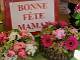 2011-05-28 11-33-42 FinePixS100FS 64,5mm 1 450 eme