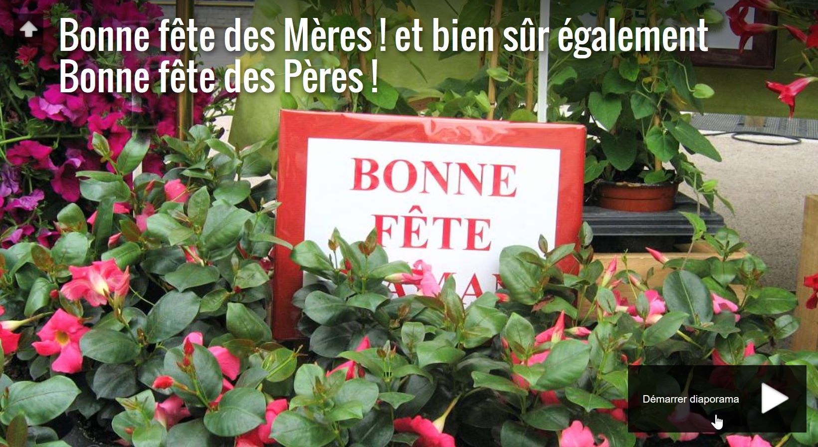 bonne f&ecirc;te des m&egrave;res, bonne f&ecirc;te des p&egrave;res !