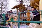 2017-03-05 15-11-26 FinepixHS50 33,0mm 1 56 eme